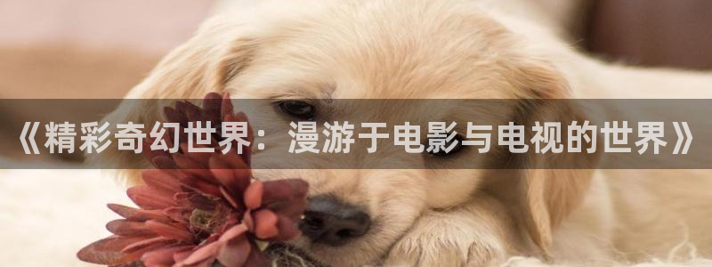 九七理论电影院：《精彩奇幻世界：漫游于电影与电视的世界》