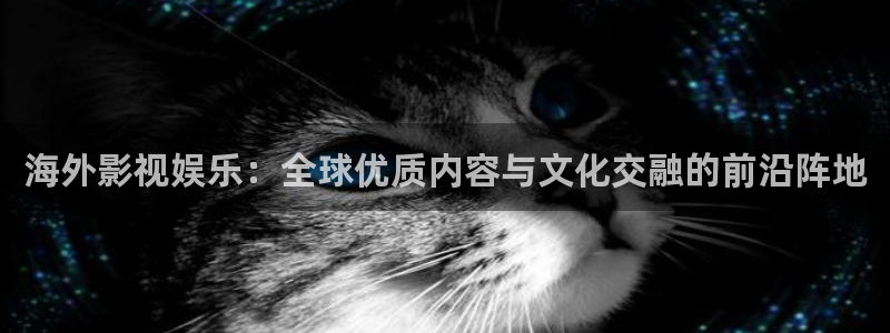 九七免费影院：海外影视娱乐：全球优质内容与文化交融的前沿阵地