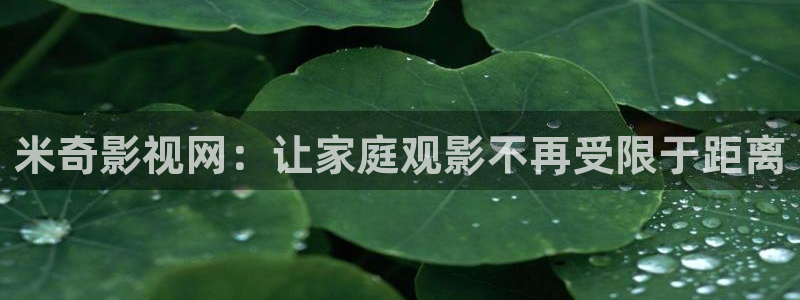 伦理片九七影院：米奇影视网：让家庭观影不再受限于距离