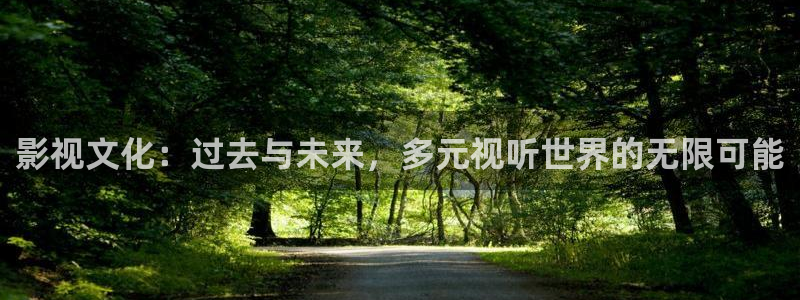 九七影视：影视文化：过去与未来，多元视听世界的无限可能