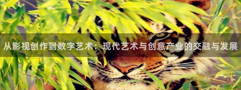 九七dyy电影院：从影视创作到数字艺术：现代艺术与创意产业的交融与发展