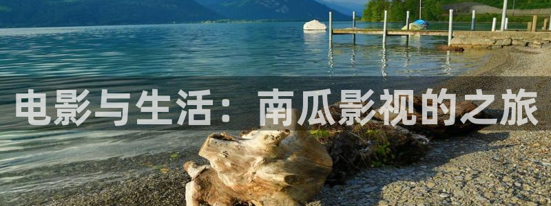 九七超碰在线：电影与生活：南瓜影视的之旅