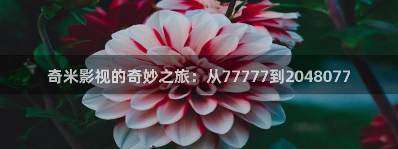 九七伦理影院：奇米影视的奇妙之旅：从77777到2048077