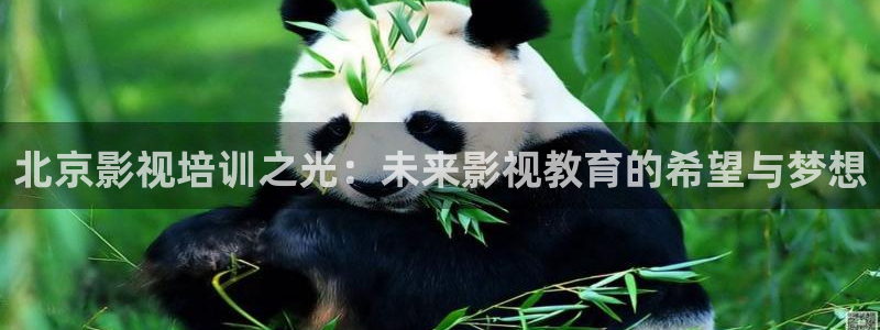 九七电影院在线看：北京影视培训之光：未来影视教育的希望与梦想