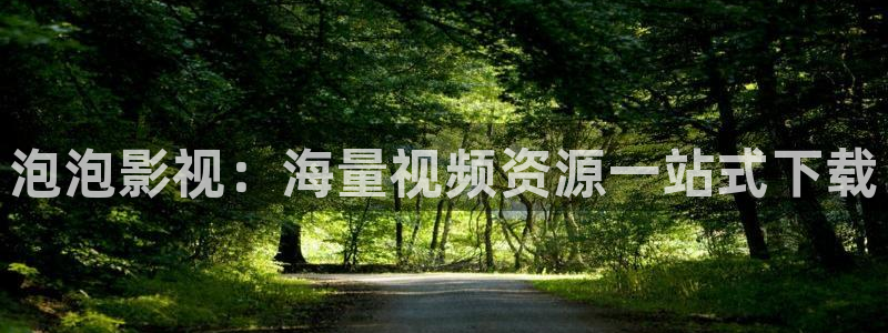 九七影院电视剧在线观看：泡泡影视：海量视频资源一站式下载