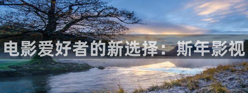 九七影视：电影爱好者的新选择：斯年影视